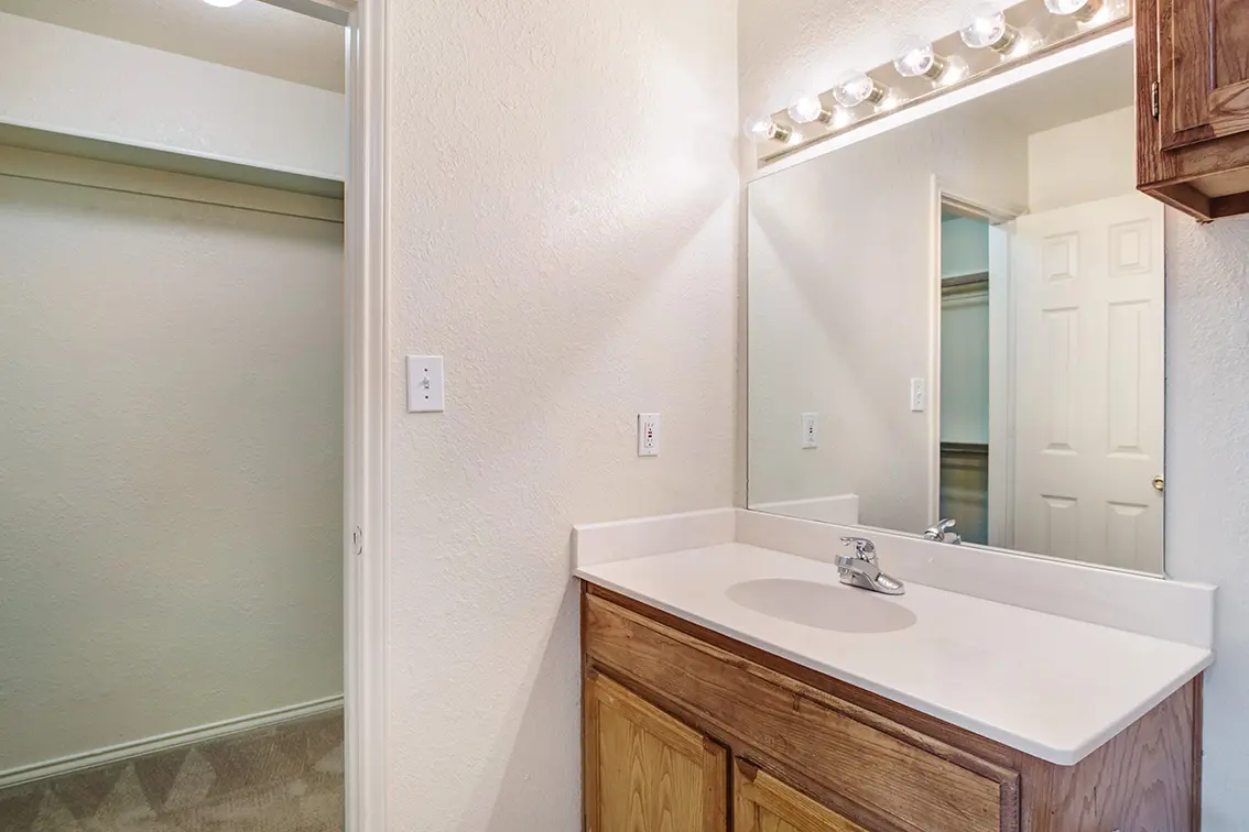 Cole Place bathroom vanity with a wide mirror and vanity lights beside a closet (10)
